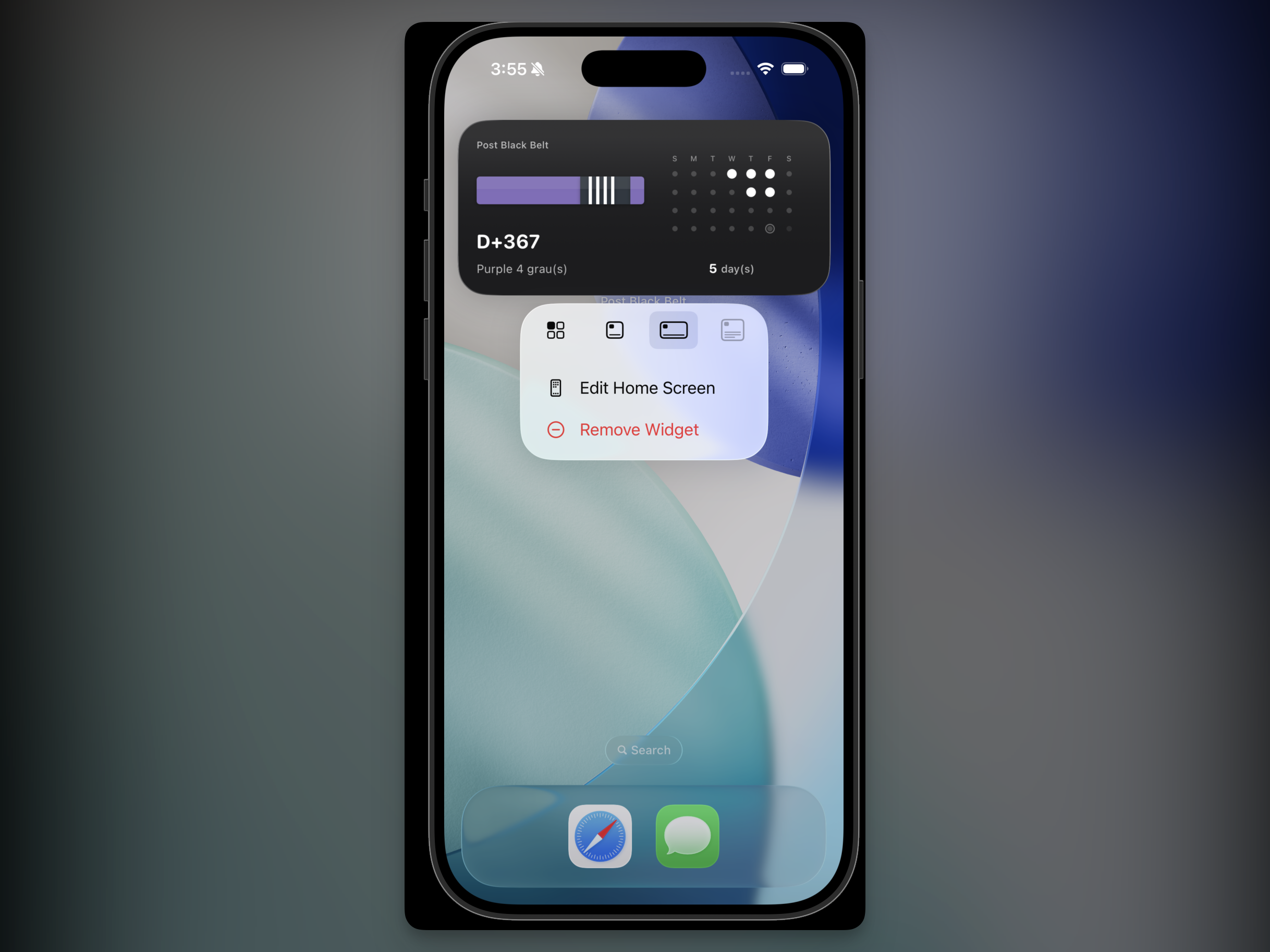 Home screen widget settings