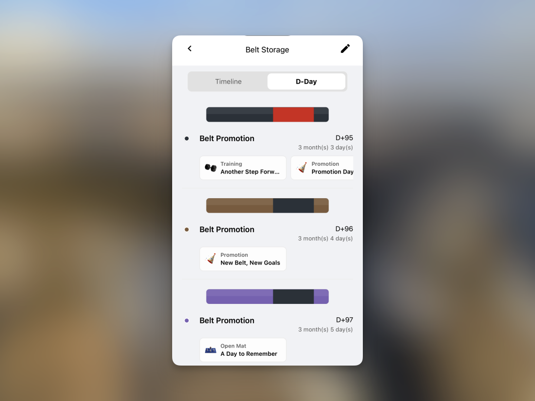 Post Black Belt Belt Storage screen